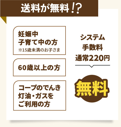 雪国の買い物は「トドックの宅配」、カタログ画像