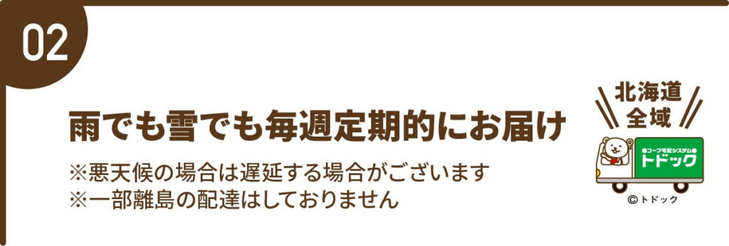 雪国の買い物は「トドックの宅配」、カタログ画像