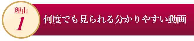 ヴァイオリン初心者必見！あなたの人生に「やさしいヴァイオリン」、カタログ画像