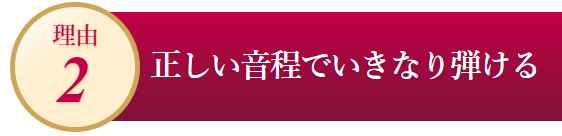 ヴァイオリン初心者必見！あなたの人生に「やさしいヴァイオリン」、カタログ画像