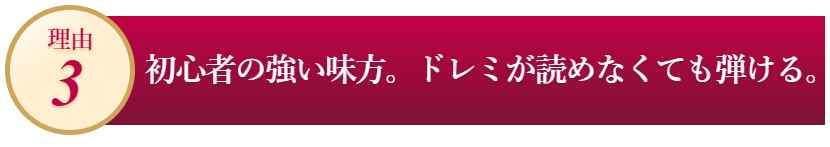 ヴァイオリン初心者必見！あなたの人生に「やさしいヴァイオリン」、カタログ画像