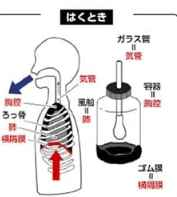 オーボエ初心者必見！「佐藤亮一先生オーボエ上達講座」、カタログ画像