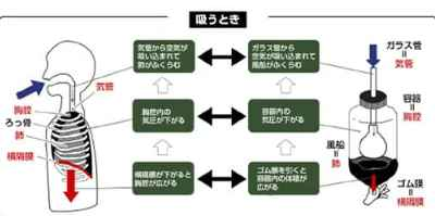 オーボエ初心者必見！「佐藤亮一先生オーボエ上達講座」、カタログ画像