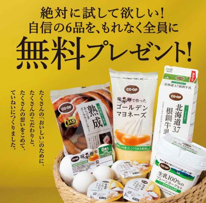 「おうちコープ」自信の６品無料プレゼント！カタログ画像